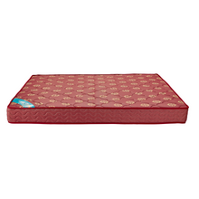 Load image into Gallery viewer, Skyfoam Ace Medium Firm Comfort with Body &amp; Spine Support Bonnell Spring Mattress in Maroon Color
