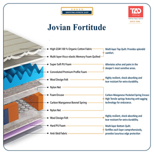 TADesign Jovian Fortitude Orthopedic 6-inch Medium Firm Bonnell Spring Mattress