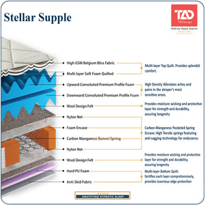 TADesign Stellar Supple 6-inch Soft Bonnell Spring Mattress