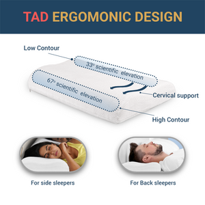 TADesign Terrestrial Endurance Latex Contour Pillow