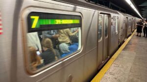 tran ny tube