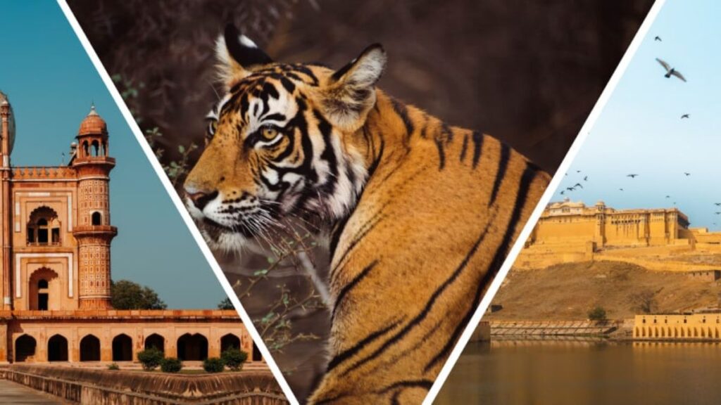 Ranthambore