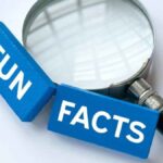 Top 10 Fascinating Facts About Znxnz You Didn’t Know