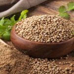 Koriandri: The Herb That Transforms Your Dishes