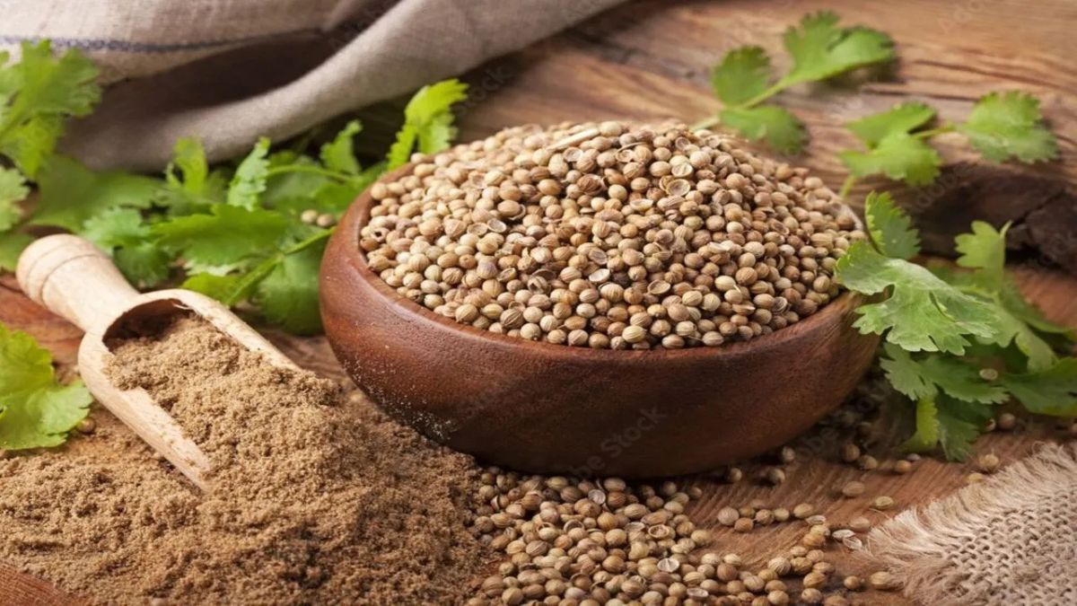 Koriandri: The Herb That Transforms Your Dishes