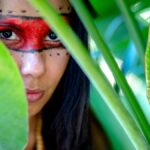 Lotology vs. Traditional Land Use: What’s the Difference?