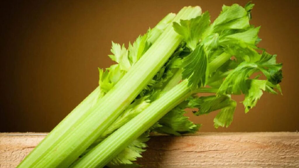 Pravi Celer: The Nutritional Powerhouse You Need to Know About